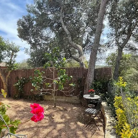 Bellavista Holiday home Begur