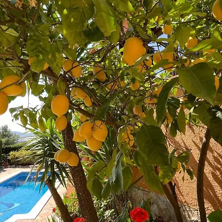 Bellavista Holiday home *